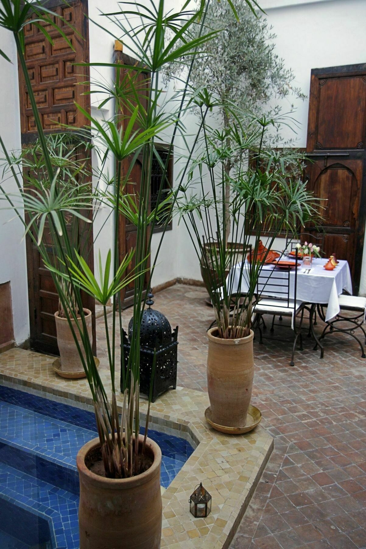 Riad Elixir Marrakesh Exterior photo